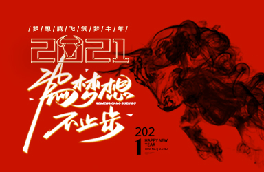 “梦想腾飞 筑梦牛年”2020年度工作总结暨表彰大会